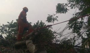IMG-20260601-WA0033